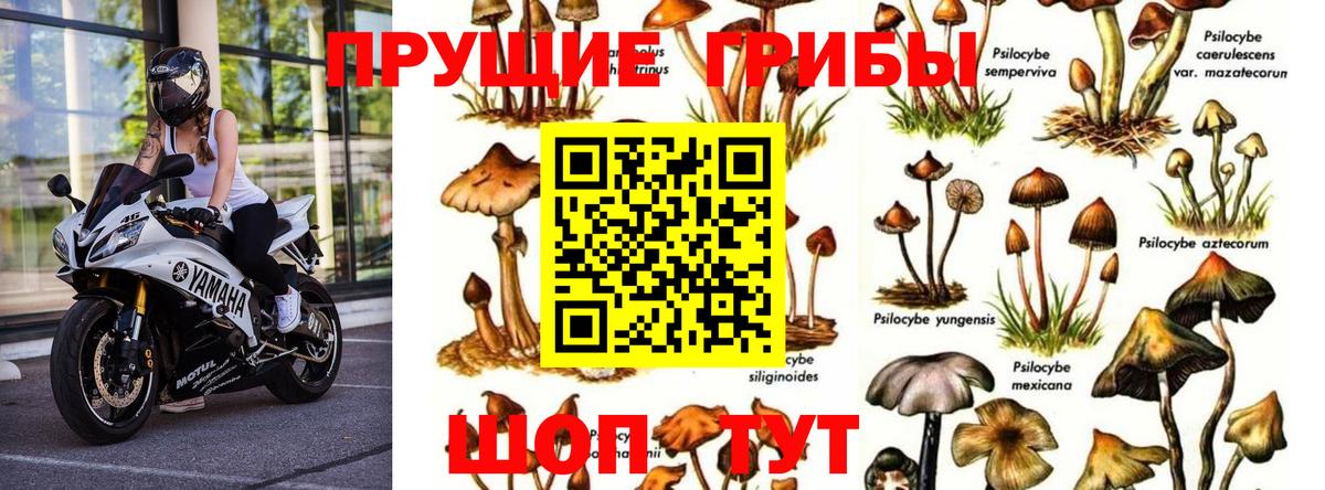 Галлюциногенные грибы ЛСД Миллерово