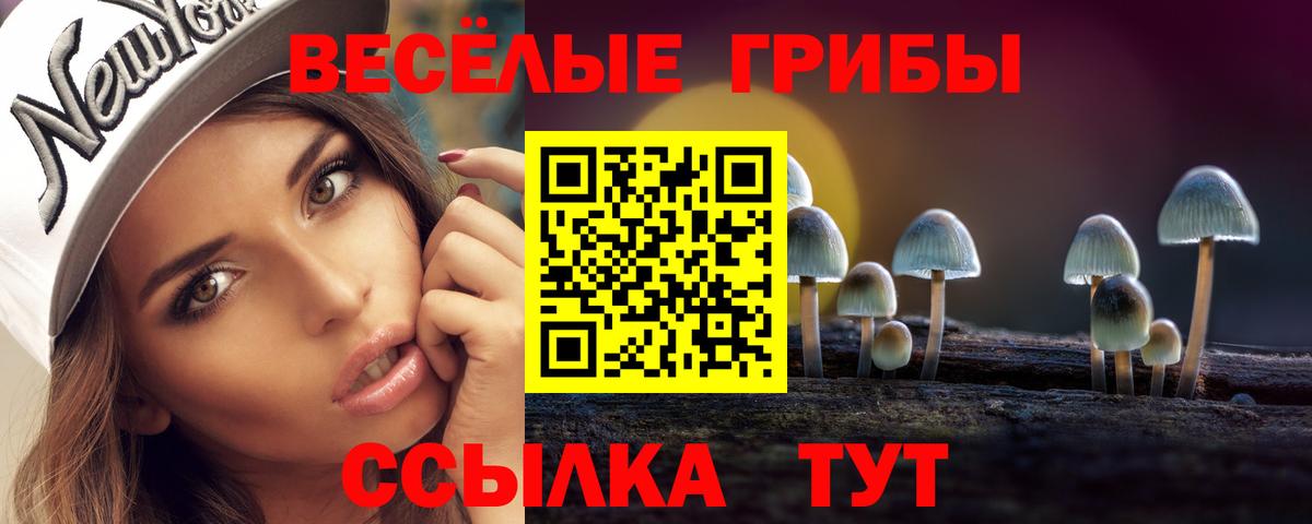 Псилоцибиновые грибы GOLDEN TEACHER  Псилоцибиновые грибы Psilocybine cubensis  Вход с VPN  Миллерово 